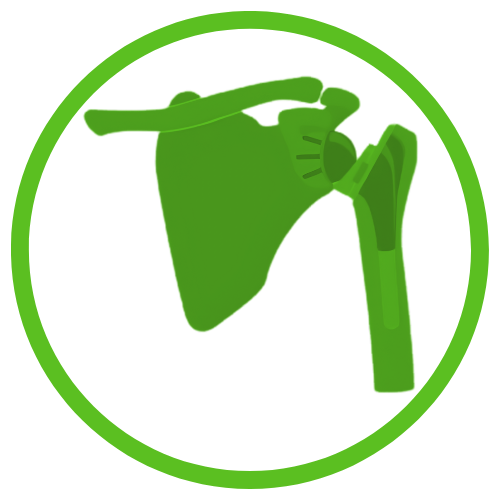 Shoulder Replacement